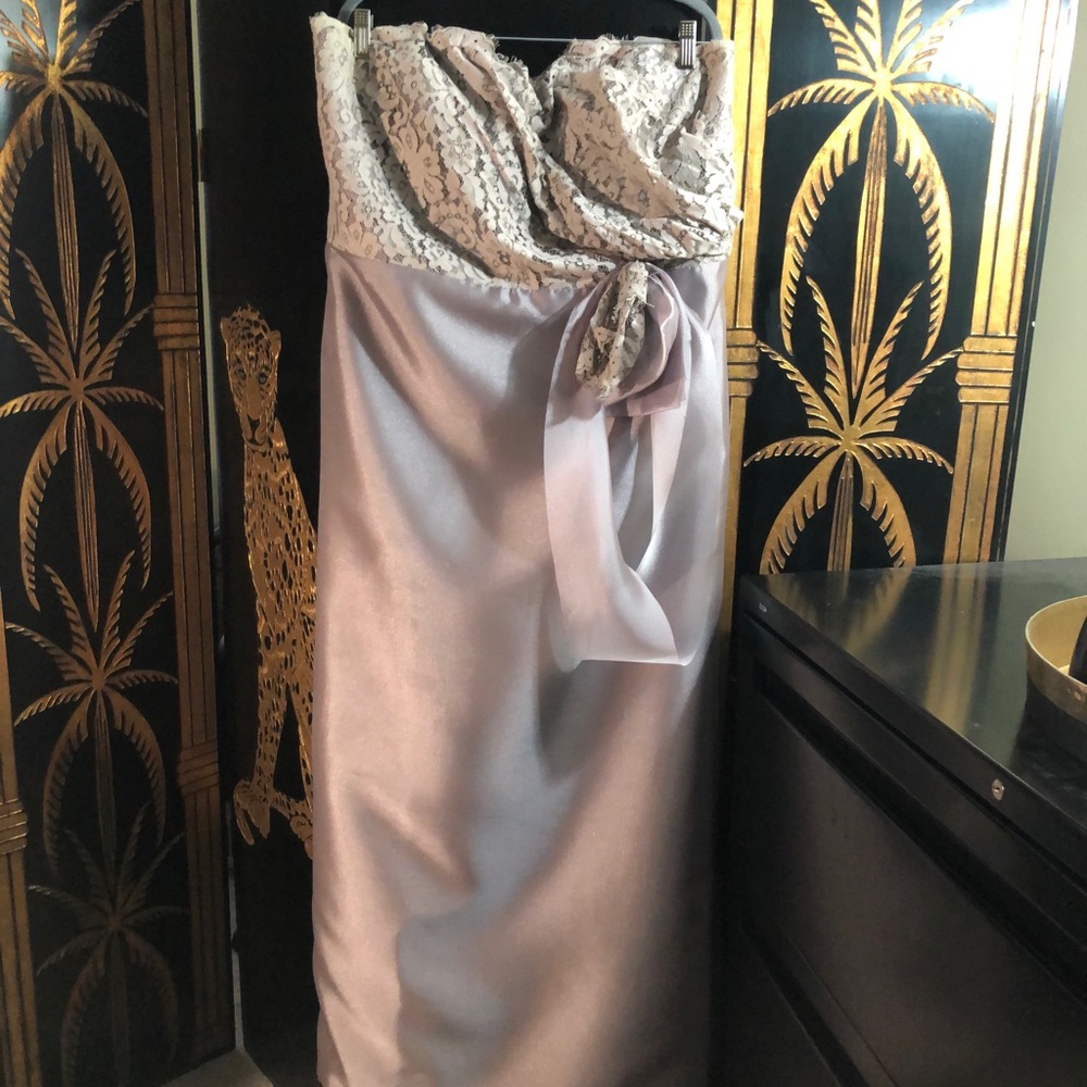 Fawn Strapless Gown- Size 24